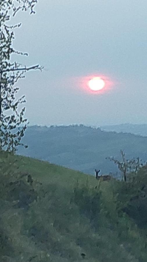 La Locanda Dei Cavalieri Affittacamere Lugagnano Val d'Arda المظهر الخارجي الصورة
