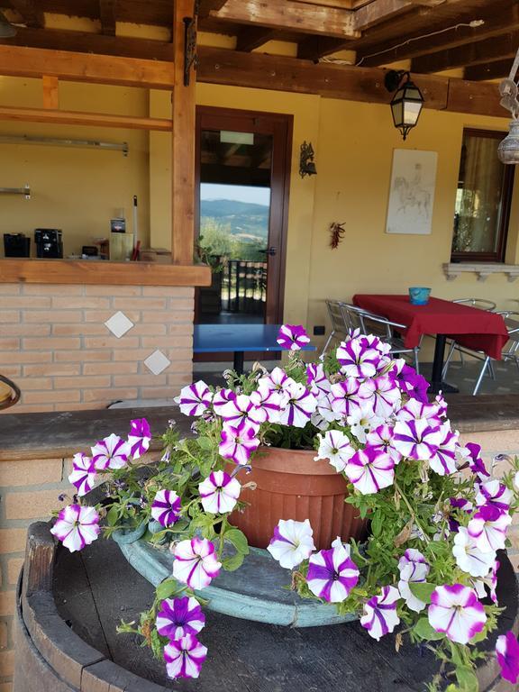 La Locanda Dei Cavalieri Affittacamere Lugagnano Val d'Arda المظهر الخارجي الصورة